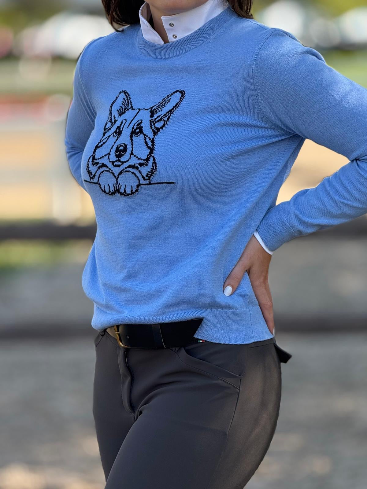 Alashan Corgi Sweater