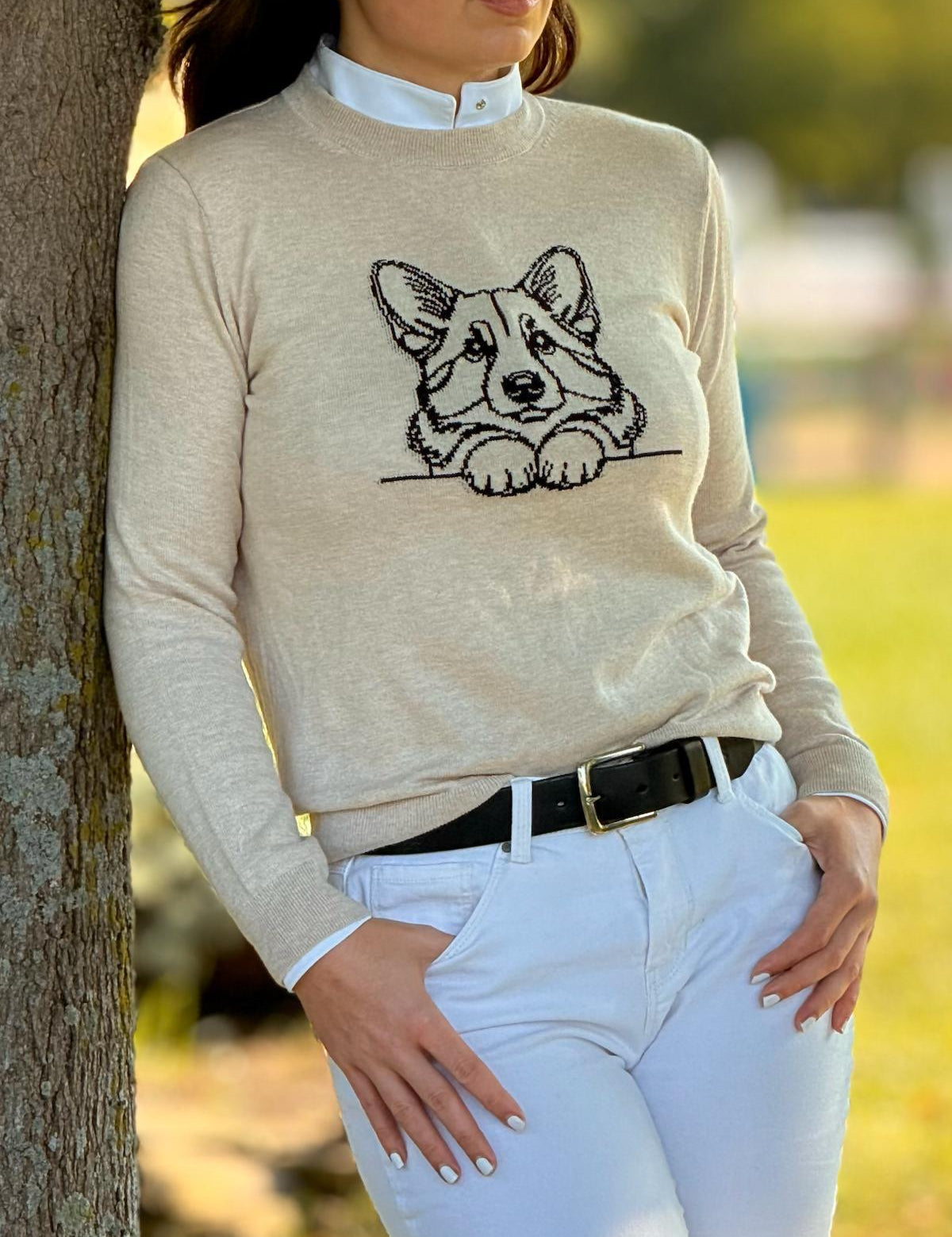 Alashan Corgi Sweater