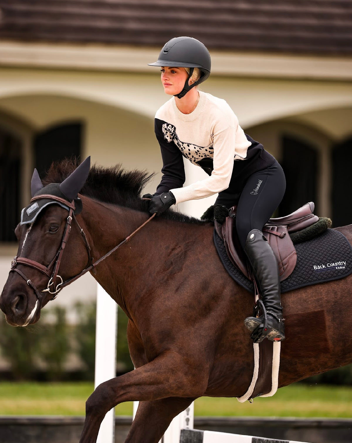 Alashan Dalmatian Cotton Cashmere Sweater